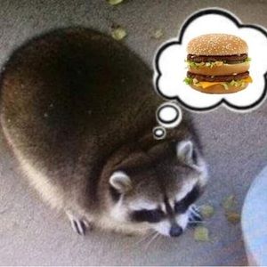 Meet your Posher, Josslynn